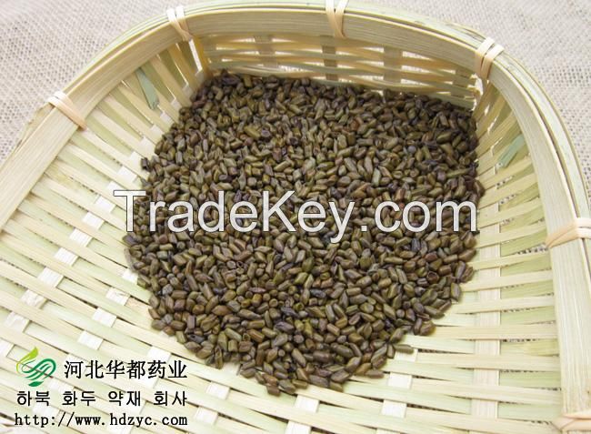  Cassia seed/Jue ming zi