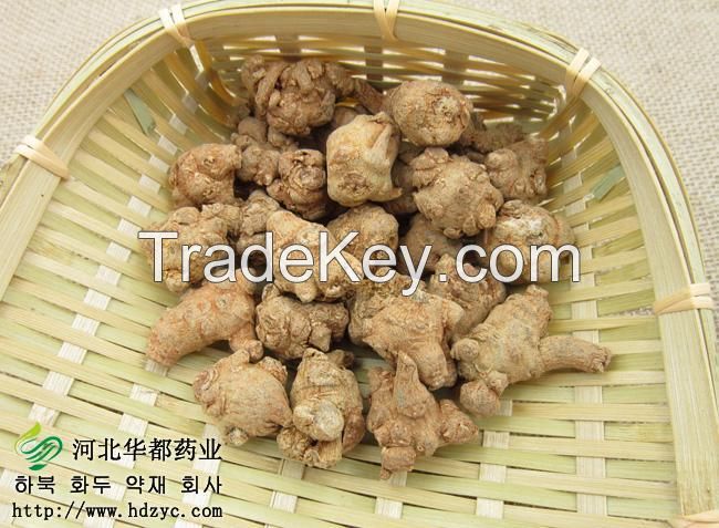  Pseudo-ginseng/San qi