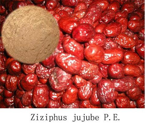 Fructus Jujubae Extract