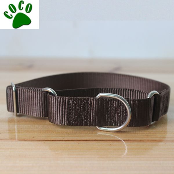 Martingale Collar Classic Green