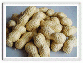 PEANUTS IN SHELL