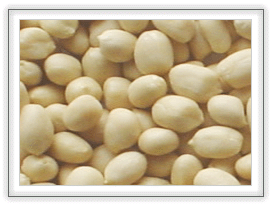 BLANCHED PEANUTS