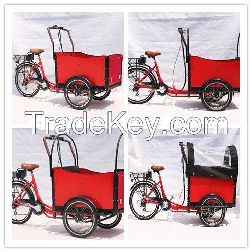 Electric cargo tricycle 