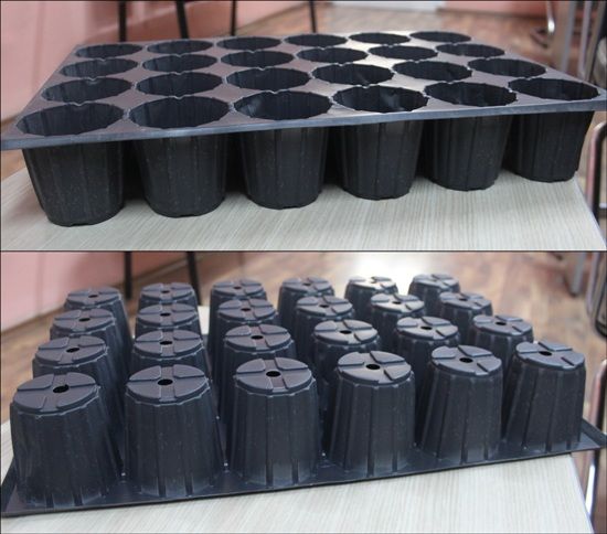 Thermoformed Plastic Seedling Tray  24 cells