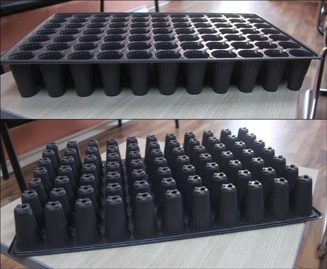 Thermoformed Plastic Seedling Tray 77 Cells Round