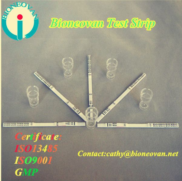 pathology laboratory equipments rapid test HCV for Infectious diseases