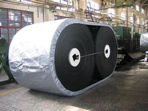 Steel cord conveyor belt