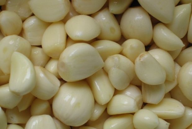 Fresh Garlic 2013 for cooking and medicinal