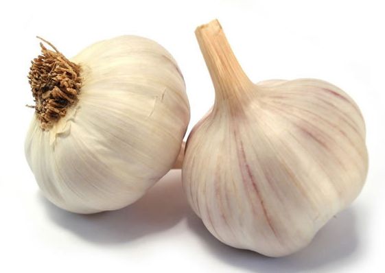 Fresh Garlic 2013 for cooking and medicinal