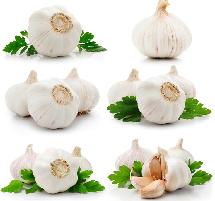 Fresh Garlic 2013 for cooking and medicinal