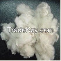 Closed virgin polyester staple fiber