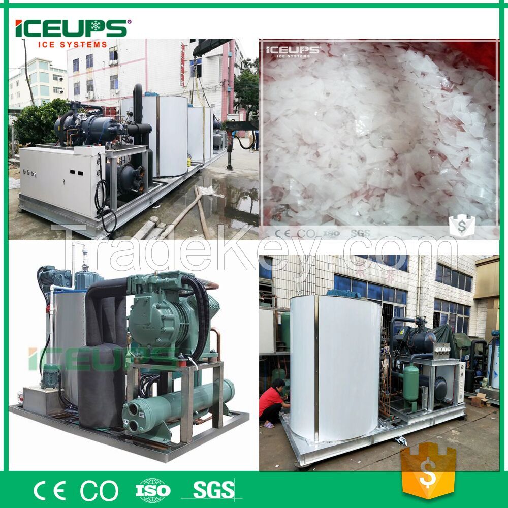 Industrial Used Flake ICE Machine with Sea Water ICE Maker for 10Ton per Day