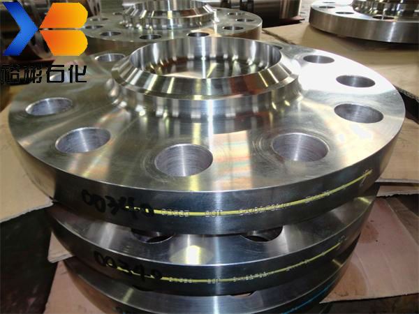 Made In China Forged Flange