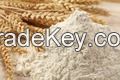 Wheat Flour