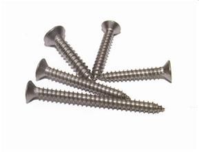 Stainless Steel Pan Head Self Tapping Screw 
