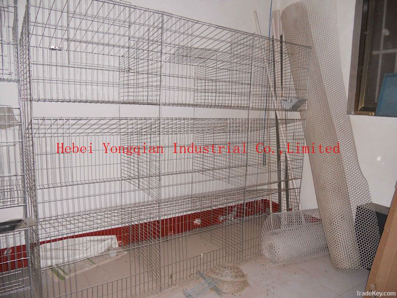 Rabbit cage