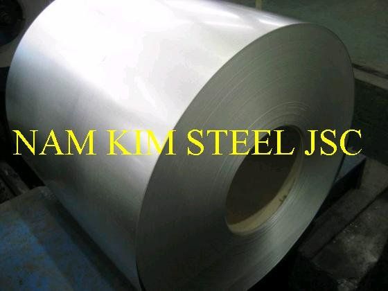 Galvalume Steel Sheet in coils