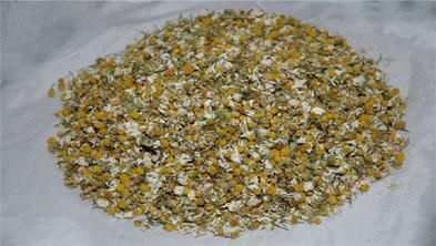 TBC Chamomile