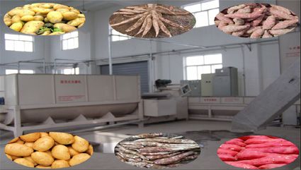 Cassava starch product line/cassava starch plant/cassava starch equipment
