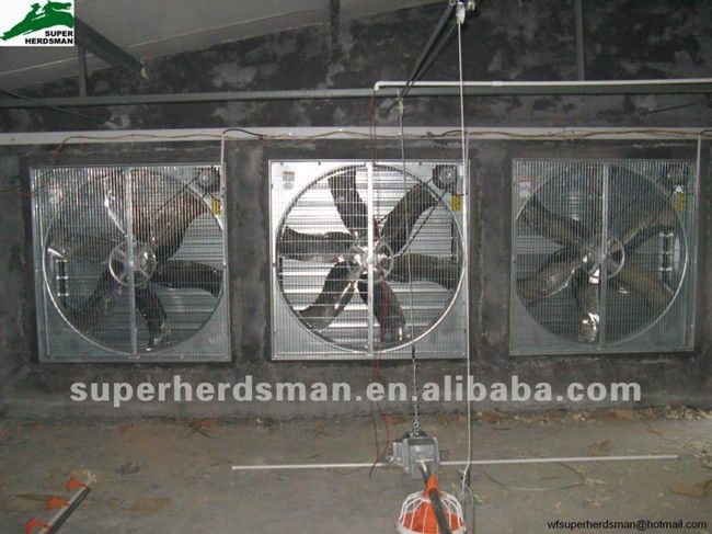 Poultry farm equipment for broiler chicken meat chicken