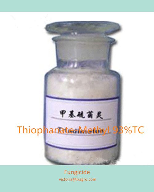 Thiophanate-Methyl 93%TC As Fungicide To Protect Crop
