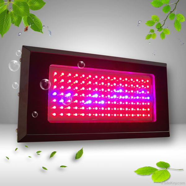 led grow light manufacturer 120w led grow light