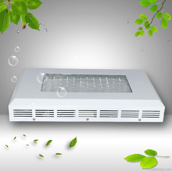 hot sale 2014 300w led grow light