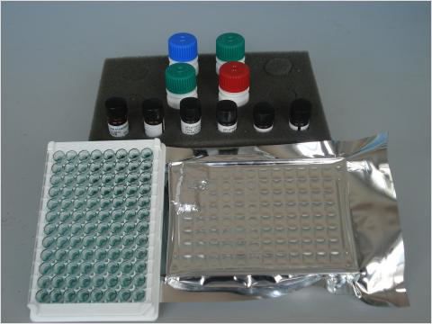 Human Fibroblast Growth Factor-basic (Bfgf) Elisa Kit