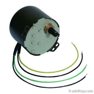 AC Synchronous Motor  #6007