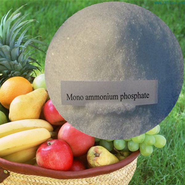 Mono ammonium phosphate MAP water soluble fertilizer