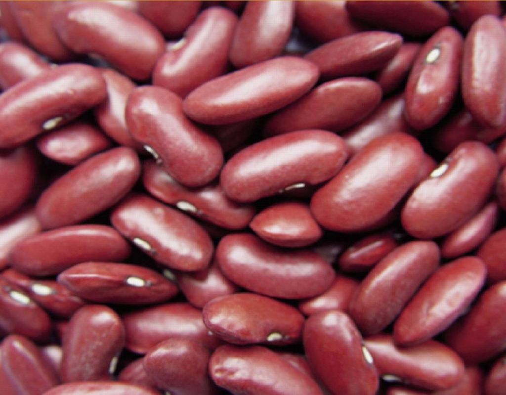 White And Red Kidney Beans