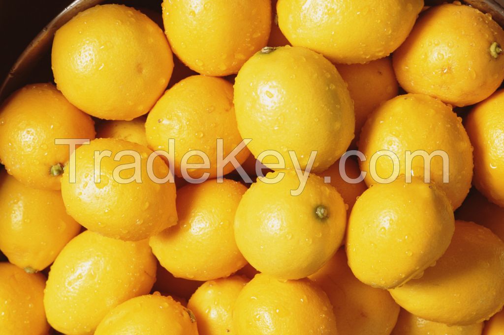 Fresh Lemon and limes