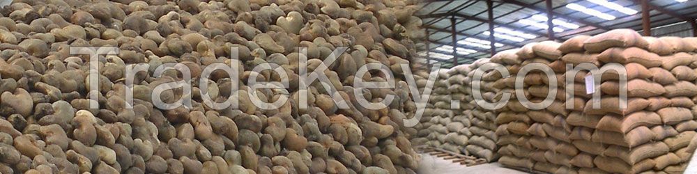 QUALITY CASHEW NUTS AVAILABLE