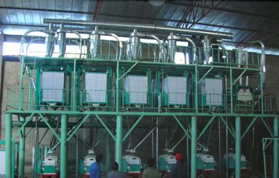 60T/24h wheat milling machine