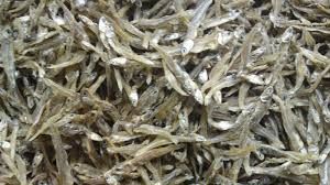 Dried fish