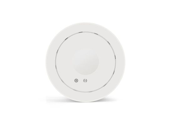 300Mbps Wireless N Ceiling Access Point 