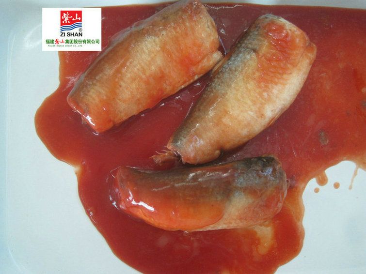 canned mackerel in brine &amp;amp; in tomato sauce &amp;amp; in oil(3 kinds of flavor)