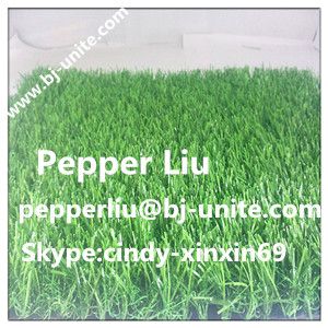 Artificial Grass For Entertainment