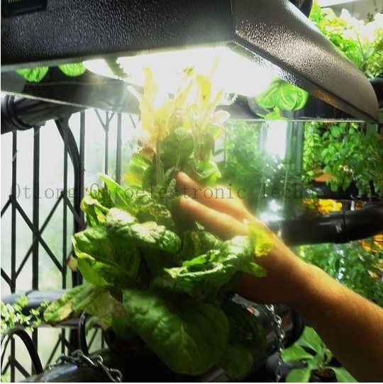 Hydroponics Grow Light