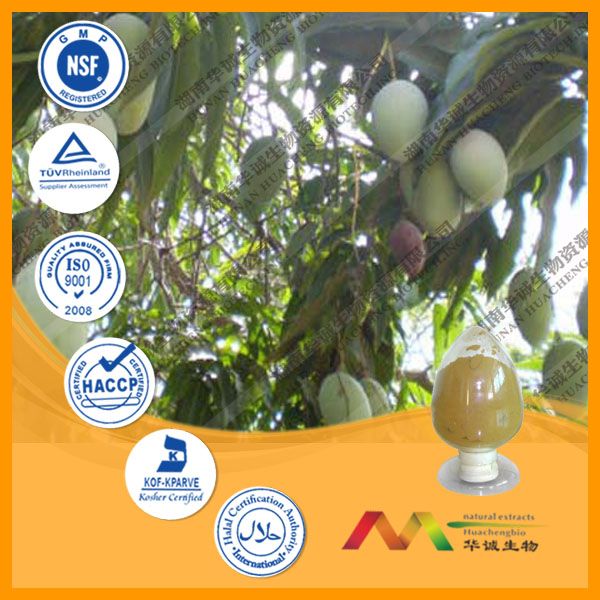 African mango Seed Extract