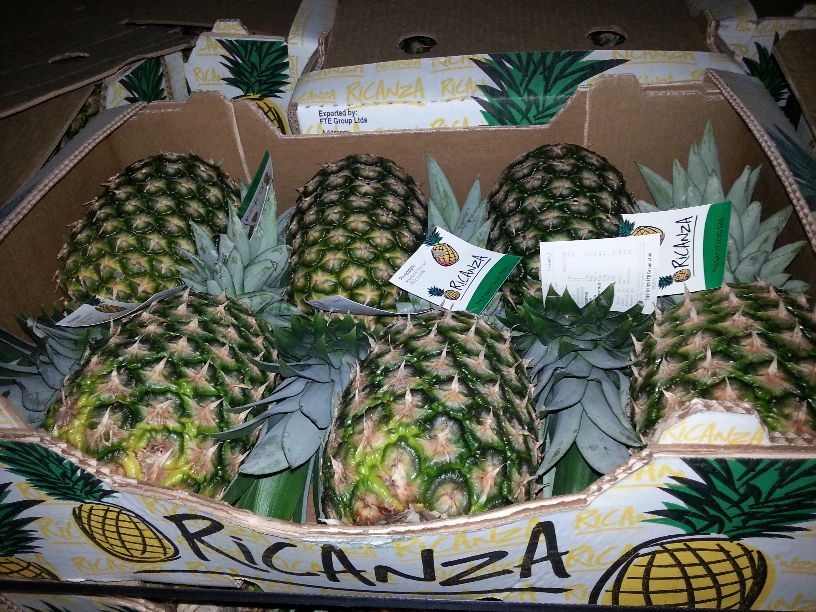 FRESH PINEAPPLES