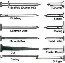 common nail