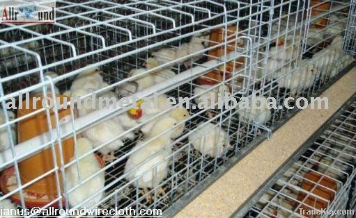 Chicken Cage For Pullets (A type) Hot sale!!!!