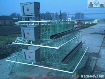 Chicken Cage For Pullets (A type) Hot sale!!!!