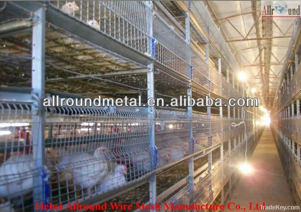 poultry cage for broiler