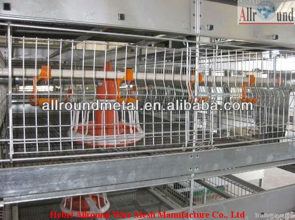 poultry cage for broiler