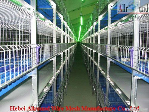 Chicken Cage For Pullets (H type) Hot sale!!!!