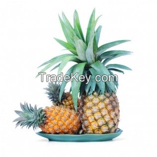 Fresh Pineapple