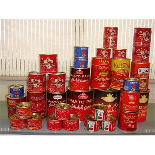 70g-4500g canned tomato paste 