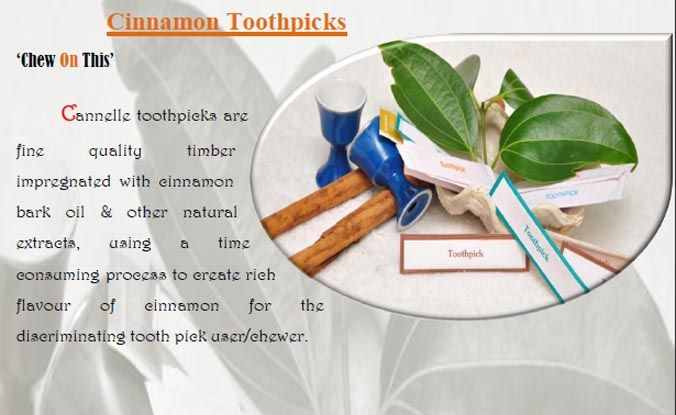 Cinnamon Tooth pick